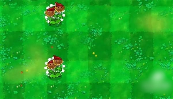 时间向日葵 时间向日葵