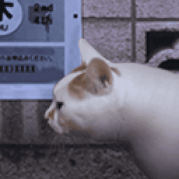 47417大但人文艺术作品之怪奇谭官方正版下载-47417大但人文艺术作品之怪奇谭手机版下载 v1.0 安卓正版